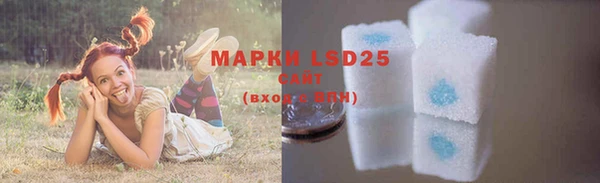 прущая мука Галич
