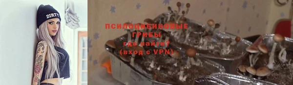 jwh Пролетарск