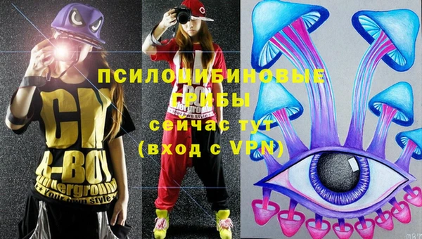 прущая мука Покачи