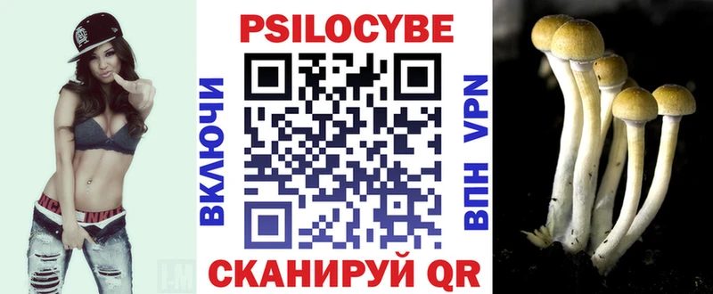 как найти закладки  Чегем  Псилоцибиновые грибы Cubensis 
